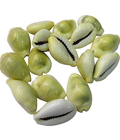 Yellow Kaudi/ Peeli Kaudi- Original & Energized - Divine Symbol of Wealth and Prosperity