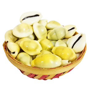 Yellow Kaudi/ Peeli Kaudi- Original & Energized - Divine Symbol of Wealth and Prosperity